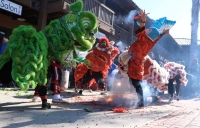 Lion Dance