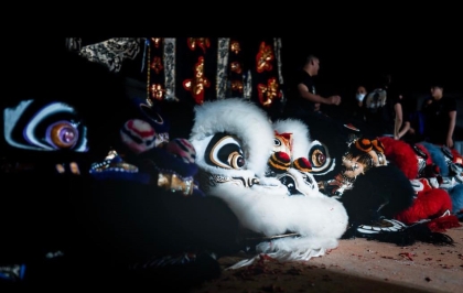 Night Lion Dance