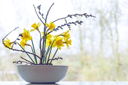 Ikebana