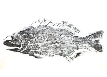 Gyotaku Large