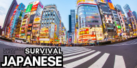 Survival Japanese Class